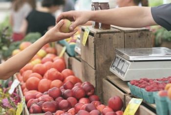 Réduire les coûts de santé avec les aliments : possible, en pratique ?