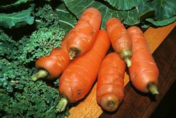 Fruits et légumes contre cancer du poumon - Biblio