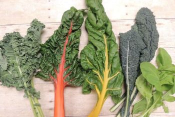Fruits et légumes contre cancer colorectal - Biblio