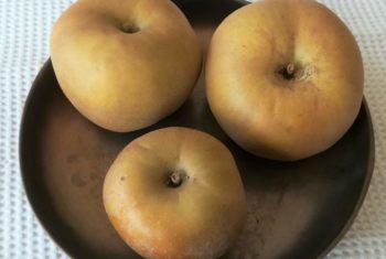 Peut-on faire baisser le cholestérol avec des pommes ?